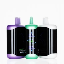 Kangvape Heaven X 40K Dual Mesh 40000 Puffs Disposable Vape