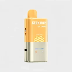 GEEK BAR UP 10000 Prefilled Pod Kit - Dual Tank MTL
